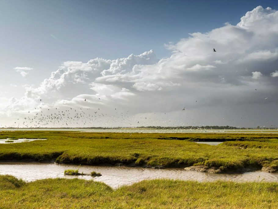 Lymington | Direct Cremations A serene landscape of marshland with green grass and a cloudy sky.